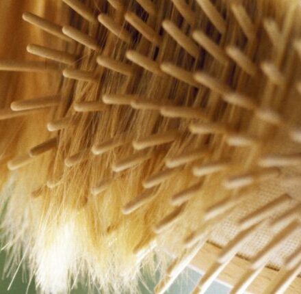 Quale spazzola e per quale utilizzo?