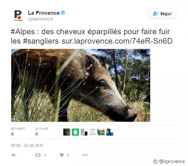 5995-improbabile-article_media_block-1.jpg 5995-improbabile-article_media_block-1.jpg