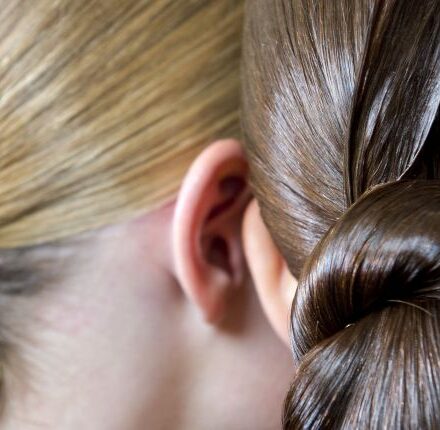 Lo chignon a ventaglio