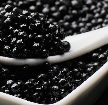 Scopri i benefici rigeneranti del caviale sui capelli