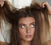 Dieci preconcetti sui capelli secchi
